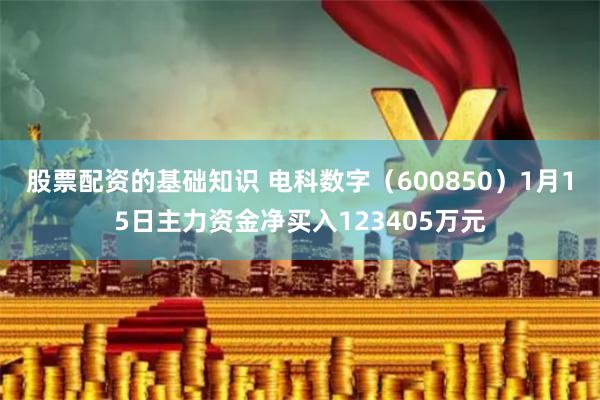 股票配资的基础知识 电科数字（600850）1月15日主力资金净买入123405万元