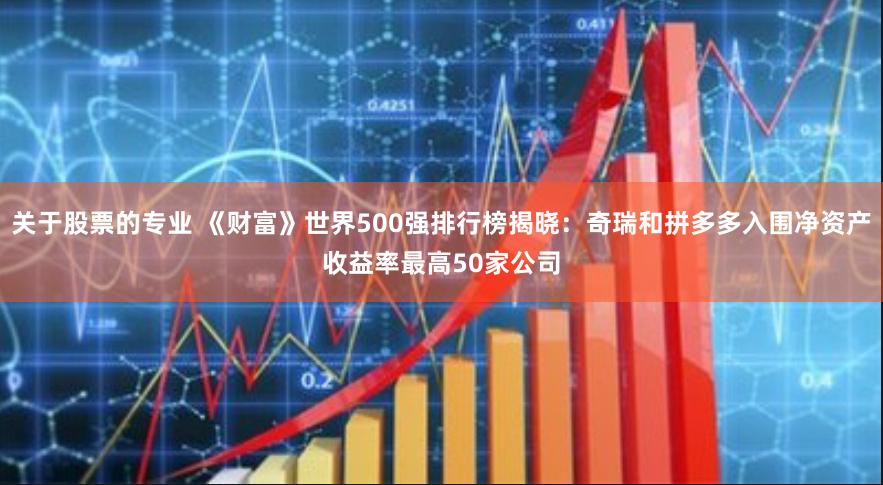 关于股票的专业 《财富》世界500强排行榜揭晓：奇瑞和拼多多入围净资产收益率最高50家公司