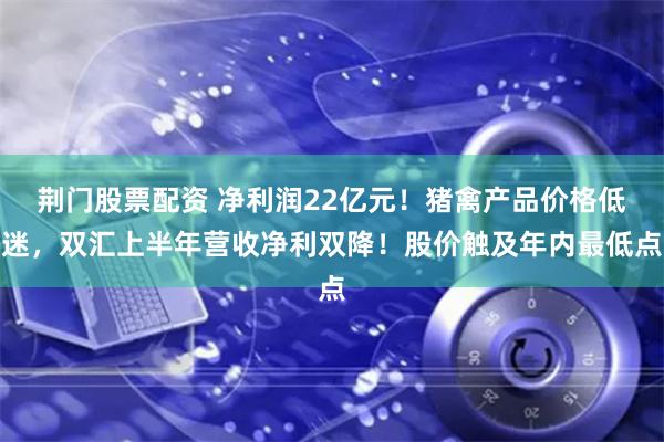 荆门股票配资 净利润22亿元！猪禽产品价格低迷，双汇上半年营收净利双降！股价触及年内最低点